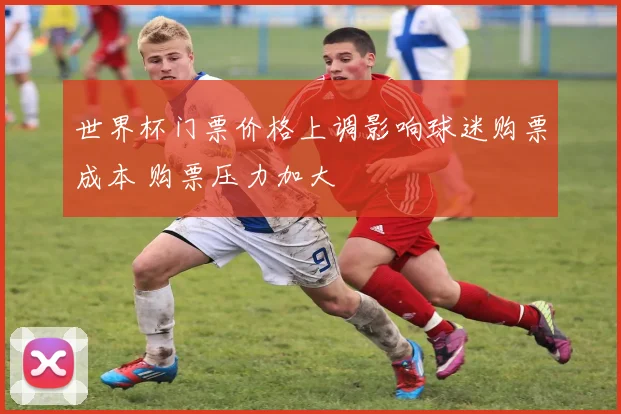 世界杯门票价格上调影响球迷购票成本 购票压力加大