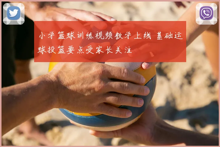 小学篮球训练视频教学上线 基础运球投篮要点受家长关注