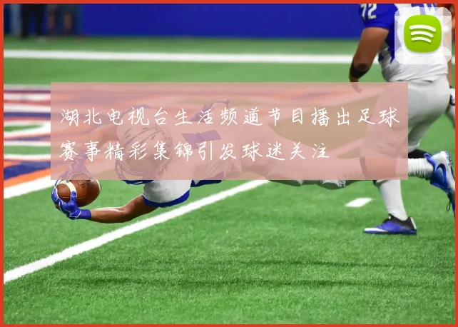 湖北电视台生活频道节目播出足球赛事精彩集锦引发球迷关注