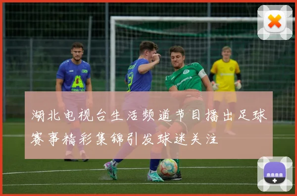 湖北电视台生活频道节目播出足球赛事精彩集锦引发球迷关注