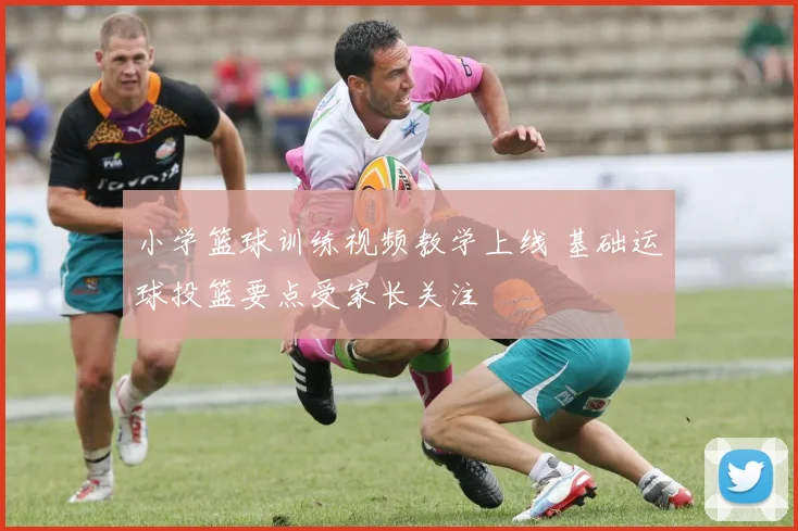 小学篮球训练视频教学上线 基础运球投篮要点受家长关注
